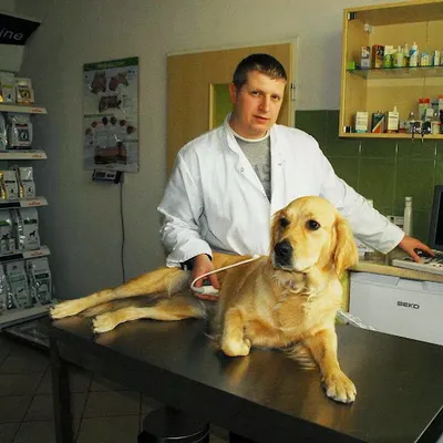 Gabinet Weterynaryjny PRO-VET lek. wet. Krzysztof Mazur